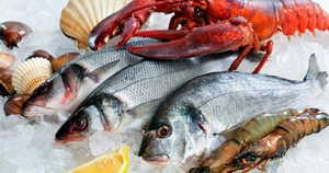 морепродукты, рыба