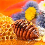 мёд, полезные свойства
